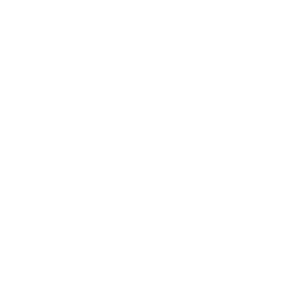 program